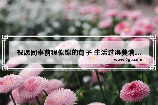 祝愿同事前程似锦的句子 生活过得美满的祝福句子