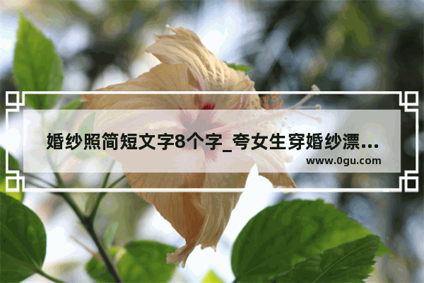 婚纱照简短文字8个字_夸女生穿婚纱漂亮文案