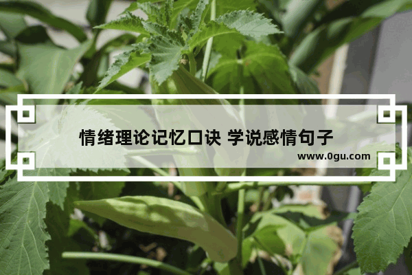 情绪理论记忆口诀 学说感情句子