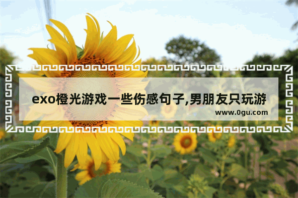 exo橙光游戏一些伤感句子,男朋友只玩游戏伤感句子