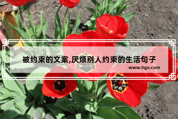 被约束的文案,厌烦别人约束的生活句子