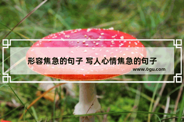 形容焦急的句子 写人心情焦急的句子