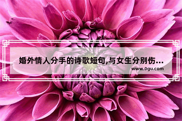 婚外情人分手的诗歌短句,与女生分别伤感的句子短句