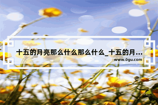 十五的月亮那么什么那么什么_十五的月亮那么什么又那么什么又那么又那么什么