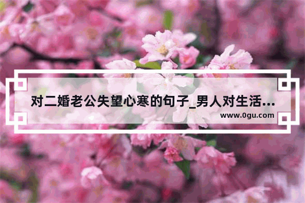 对二婚老公失望心寒的句子_男人对生活心灰意冷句子