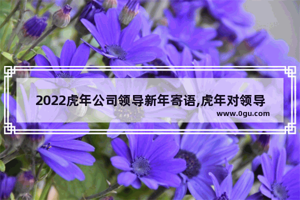 2022虎年公司领导新年寄语,虎年对领导的祝福语句子