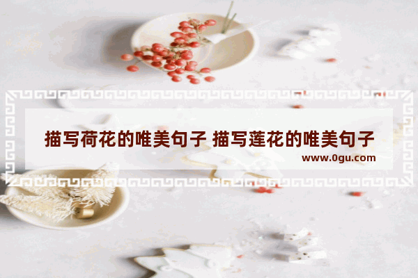 描写荷花的唯美句子 描写莲花的唯美句子