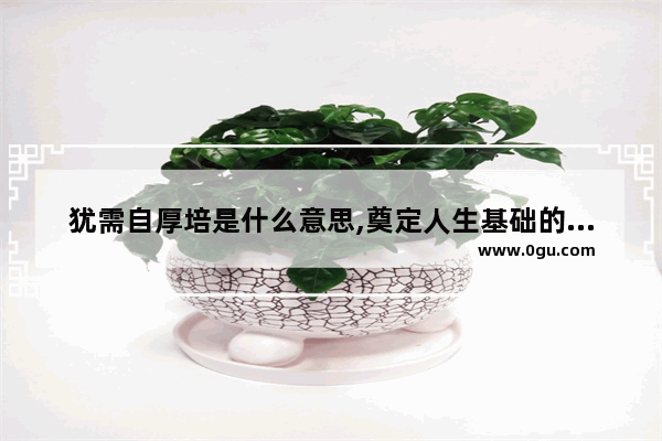 犹需自厚培是什么意思,奠定人生基础的相似句子