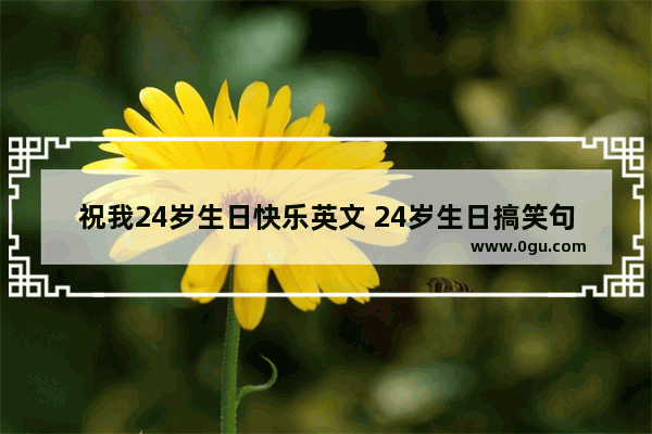 祝我24岁生日快乐英文 24岁生日搞笑句子英语