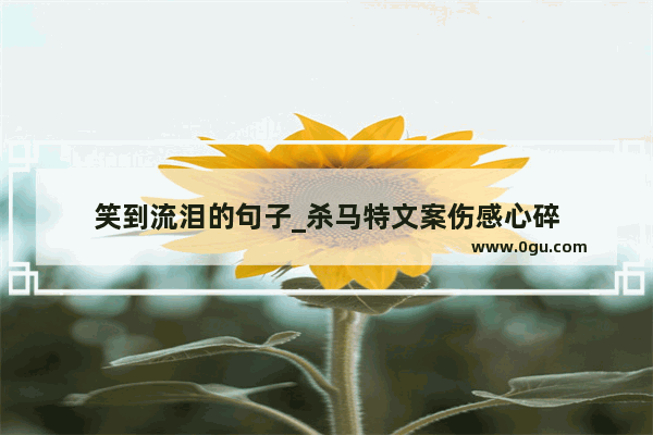 笑到流泪的句子_杀马特文案伤感心碎