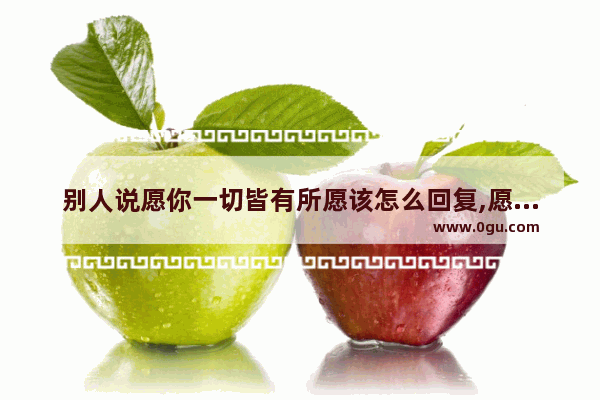 别人说愿你一切皆有所愿该怎么回复,愿你幸福我也快乐的句子