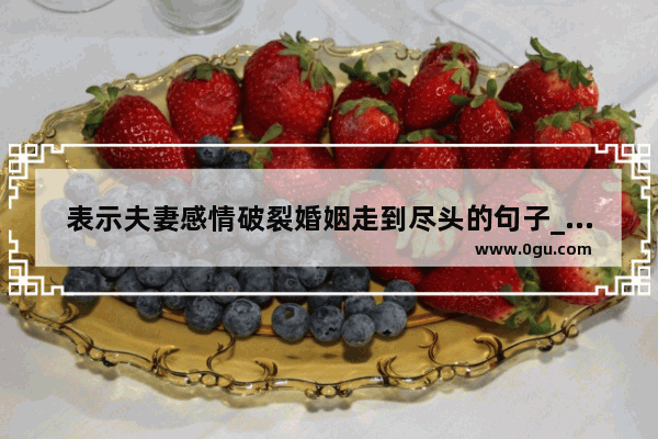 表示夫妻感情破裂婚姻走到尽头的句子_形容感情破裂 心灰意冷的句子