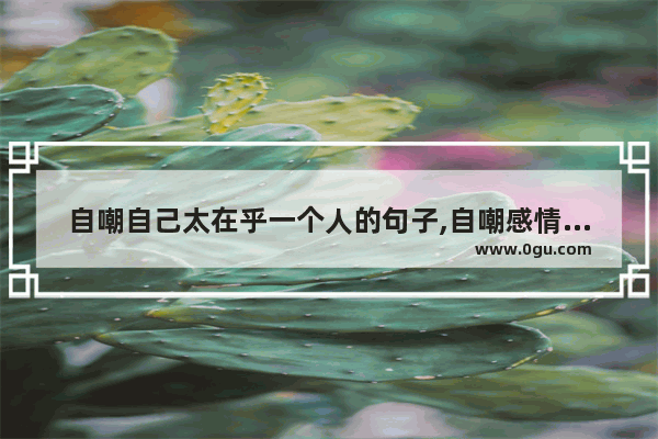 自嘲自己太在乎一个人的句子,自嘲感情句子