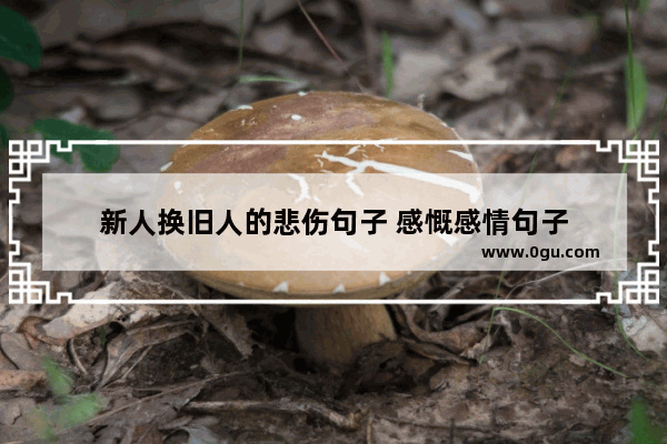 新人换旧人的悲伤句子 感慨感情句子