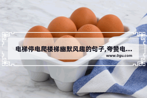 电梯停电爬楼梯幽默风趣的句子,夸赞电梯安装的句子搞笑