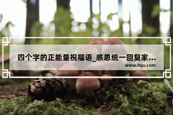 四个字的正能量祝福语_感恩统一回复家人们正能量祝福语
