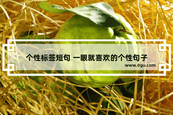 个性标签短句 一眼就喜欢的个性句子