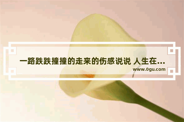 一路跌跌撞撞的走来的伤感说说 人生在世伤感的句子说说