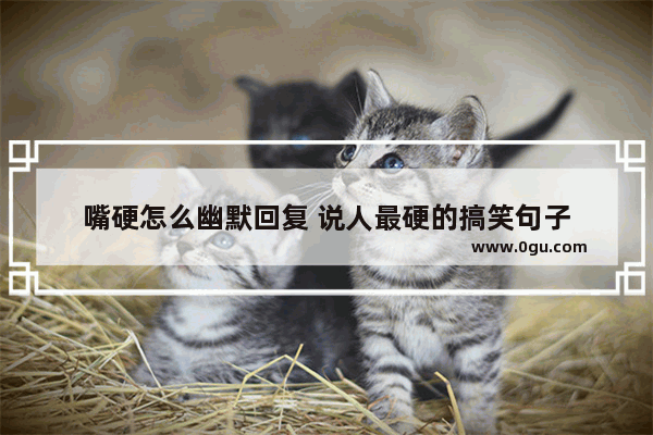 嘴硬怎么幽默回复 说人最硬的搞笑句子