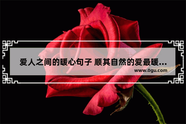 爱人之间的暖心句子 顺其自然的爱最暖心的句子
