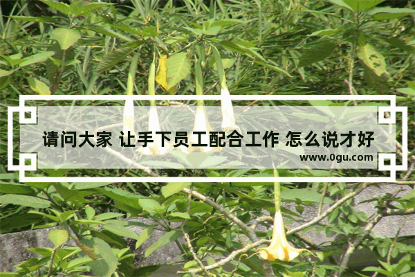 请问大家 让手下员工配合工作 怎么说才好听_管理人正能量的句子