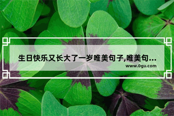 生日快乐又长大了一岁唯美句子,唯美句子关于长大了