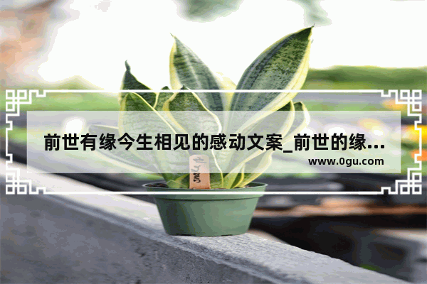 前世有缘今生相见的感动文案_前世的缘分换来今生的相遇的句子