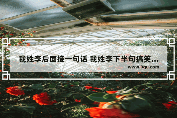 我姓李后面接一句话 我姓李下半句搞笑句子