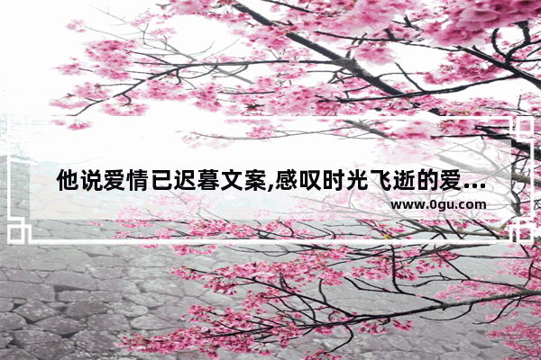 他说爱情已迟暮文案,感叹时光飞逝的爱情句子