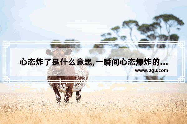 心态炸了是什么意思,一瞬间心态爆炸的句子伤感