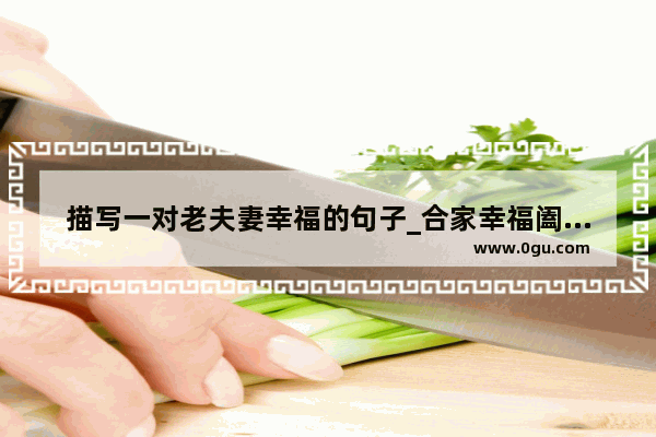 描写一对老夫妻幸福的句子_合家幸福阖家幸福区别