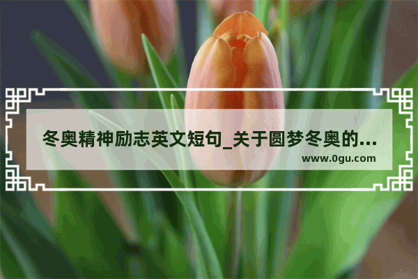 冬奥精神励志英文短句_关于圆梦冬奥的句子