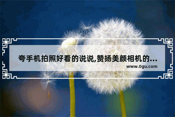 夸手机拍照好看的说说,赞扬美颜相机的句子搞笑