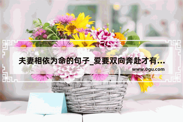 夫妻相依为命的句子_爱要双向奔赴才有意义完整的句子