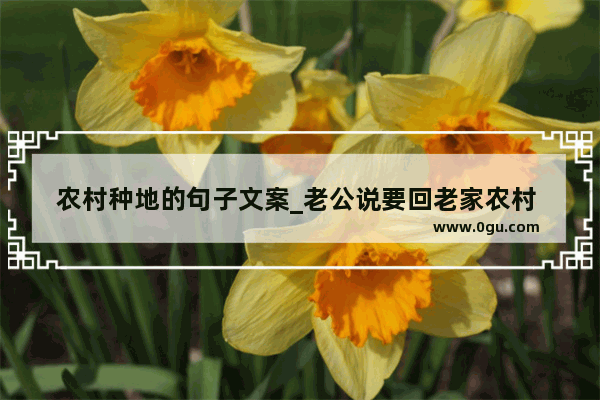 农村种地的句子文案_老公说要回老家农村 不想回呀 怕回去不习惯 该怎么办好