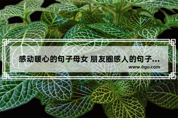 感动暖心的句子母女 朋友圈感人的句子暖心女生