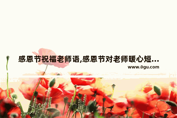 感恩节祝福老师语,感恩节对老师暖心短句子