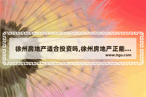 徐州房地产适合投资吗,徐州房地产正能量句子
