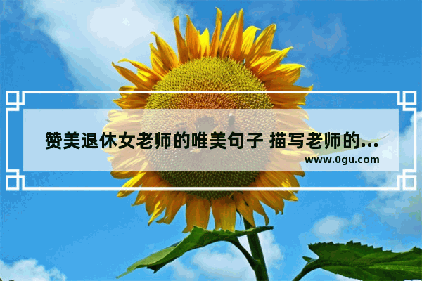 赞美退休女老师的唯美句子 描写老师的句子 唯美