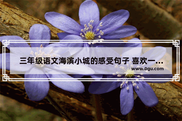 三年级语文海滨小城的感受句子 喜欢一个女孩的感悟句子