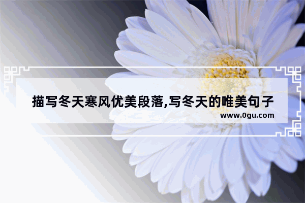 描写冬天寒风优美段落,写冬天的唯美句子