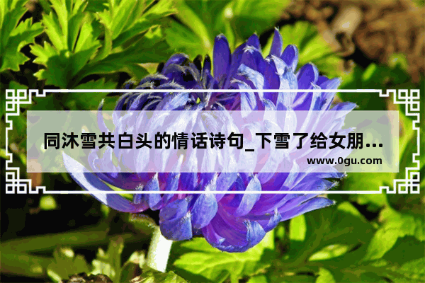 同沐雪共白头的情话诗句_下雪了给女朋友的暖心话