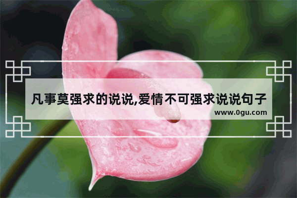 凡事莫强求的说说,爱情不可强求说说句子