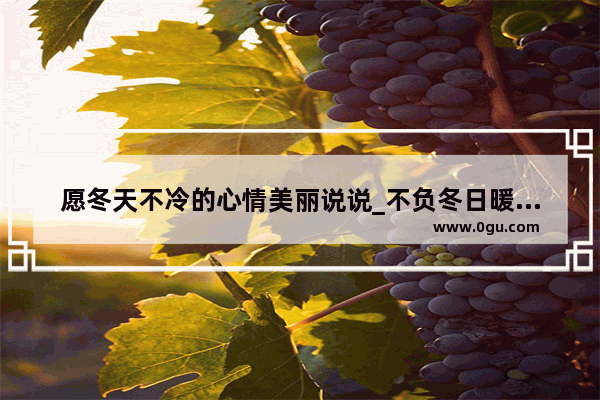 愿冬天不冷的心情美丽说说_不负冬日暖阳的唯美句子