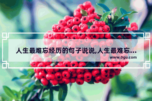 人生最难忘经历的句子说说,人生最难忘经历的句子说说