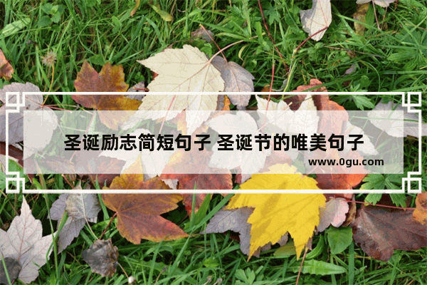 圣诞励志简短句子 圣诞节的唯美句子