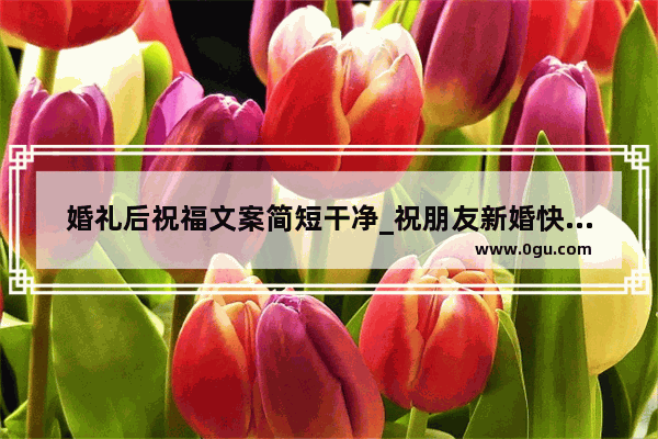 婚礼后祝福文案简短干净_祝朋友新婚快乐文案