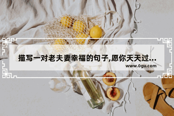 描写一对老夫妻幸福的句子,愿你天天过得好幸福的句子