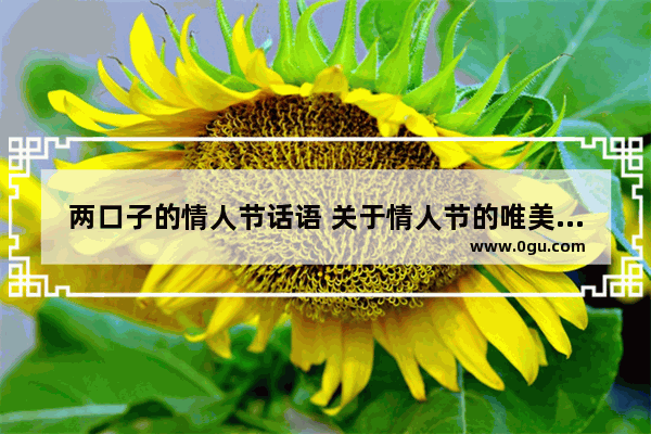 两口子的情人节话语 关于情人节的唯美句子爱情