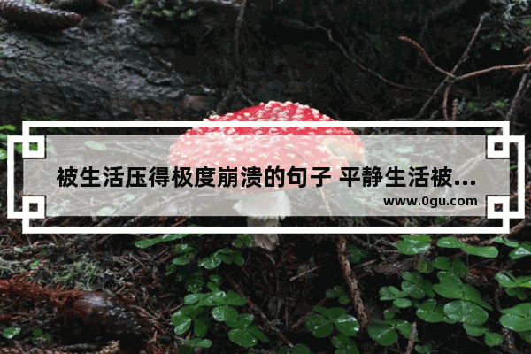 被生活压得极度崩溃的句子 平静生活被人打破的句子